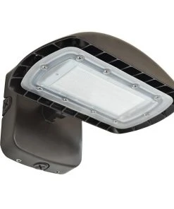 RAB Design Lighting ORA2-LED 30 Watts Multi-Purpose Exterior Wall Mounted Flood Light, Model ORA2-LED30-B-4K-BRZ-DIM-WMC*